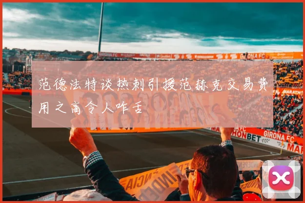 范德法特谈热刺引援范赫克交易费用之高令人咋舌