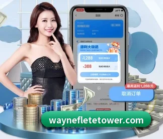 aoa网页版入口 APP